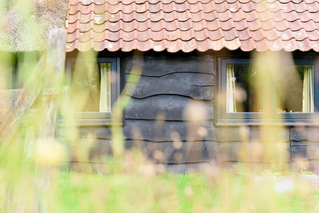 Prachtig Vrijstaand Familiehuis Op Groot Perceel Scherpenzeel  Eksteriør bilde